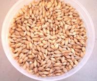 Munich Grain 150g