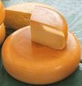 gouda-finished.jpg